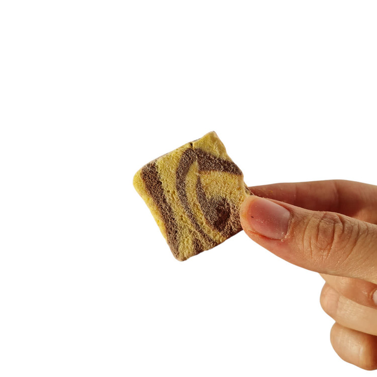 خرید بستنی خشک موزشکلات