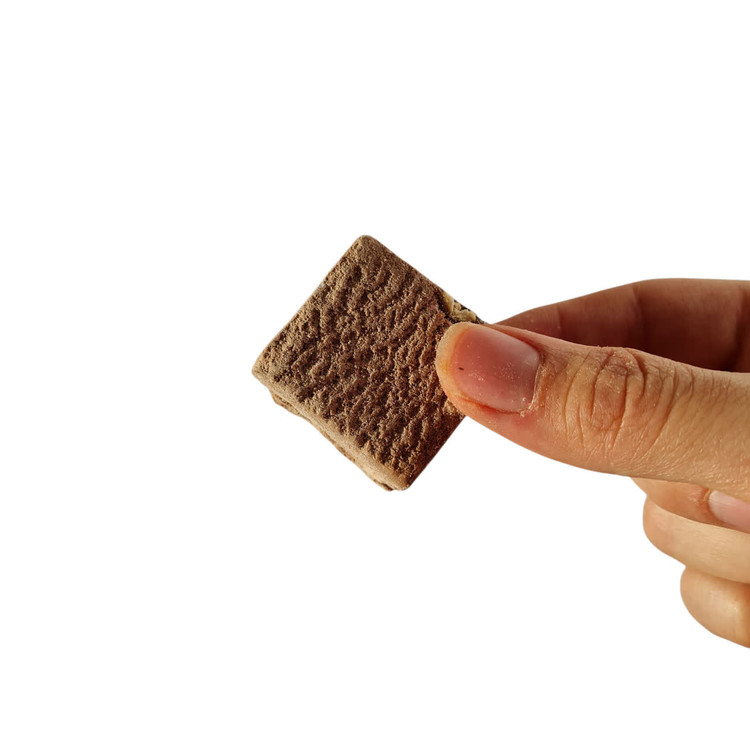 بستنی خشک شکلاتی